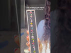 Color Pop Multicolor Stone Necklace